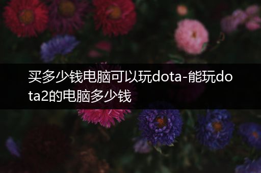 买多少钱电脑可以玩dota-能玩dota2的电脑多少钱