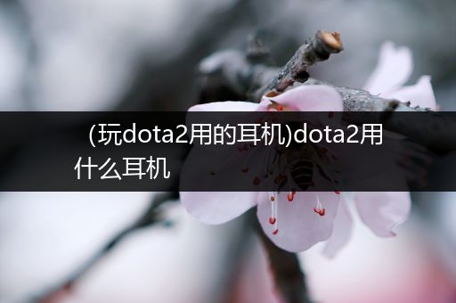（玩dota2用的耳机)dota2用什么耳机