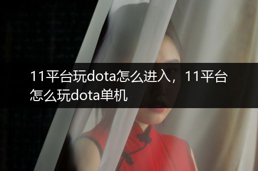 11平台玩dota怎么进入，11平台怎么玩dota单机