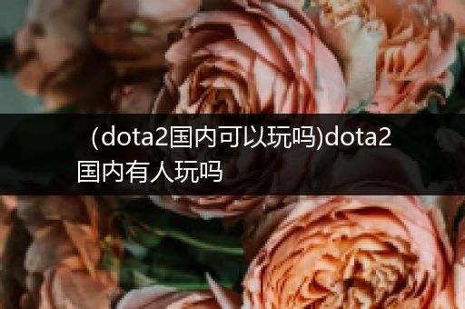 （dota2国内可以玩吗)dota2国内有人玩吗