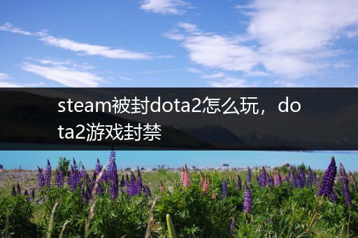 steam被封dota2怎么玩，dota2游戏封禁