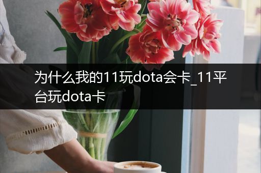 为什么我的11玩dota会卡_11平台玩dota卡