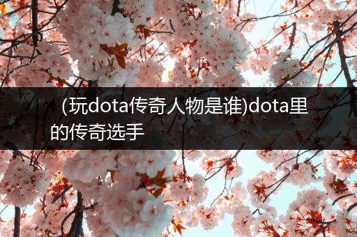 （玩dota传奇人物是谁)dota里的传奇选手