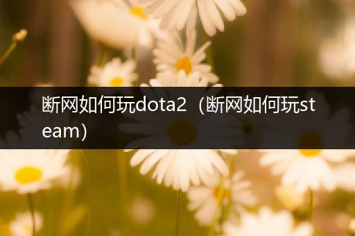 断网如何玩dota2（断网如何玩steam）