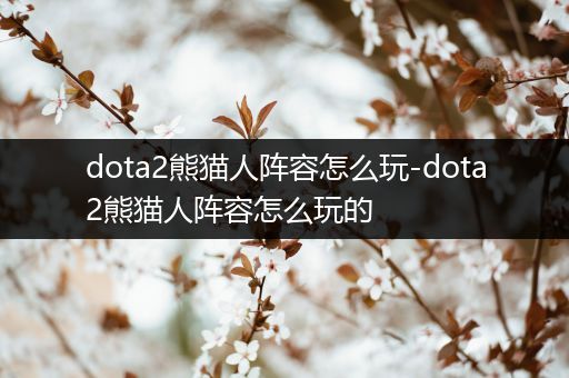 dota2熊猫人阵容怎么玩-dota2熊猫人阵容怎么玩的