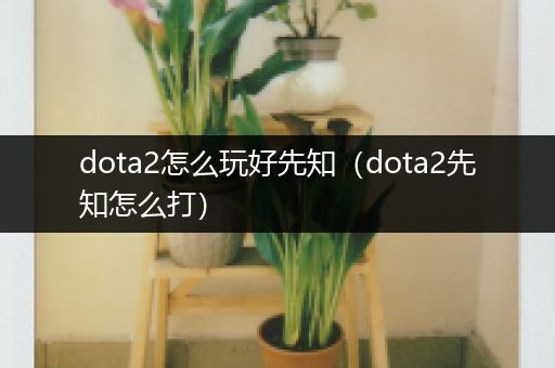 dota2怎么玩好先知（dota2先知怎么打）