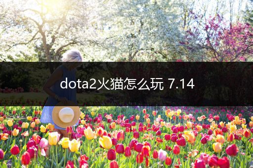dota2火猫怎么玩 7.14