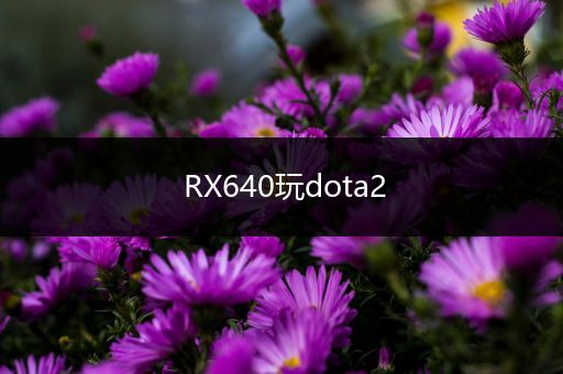 RX640玩dota2