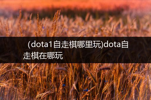 （dota1自走棋哪里玩)dota自走棋在哪玩