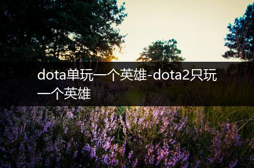 dota单玩一个英雄-dota2只玩一个英雄