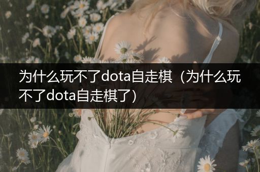 为什么玩不了dota自走棋（为什么玩不了dota自走棋了）