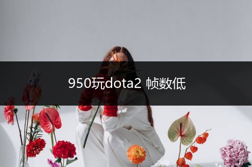 950玩dota2 帧数低
