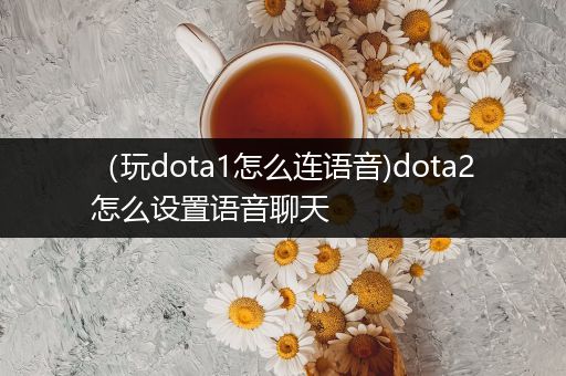 （玩dota1怎么连语音)dota2怎么设置语音聊天