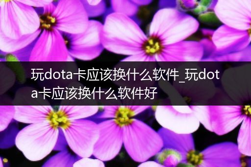 玩dota卡应该换什么软件_玩dota卡应该换什么软件好