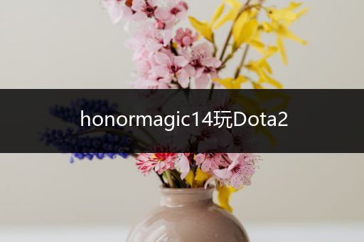 honormagic14玩Dota2
