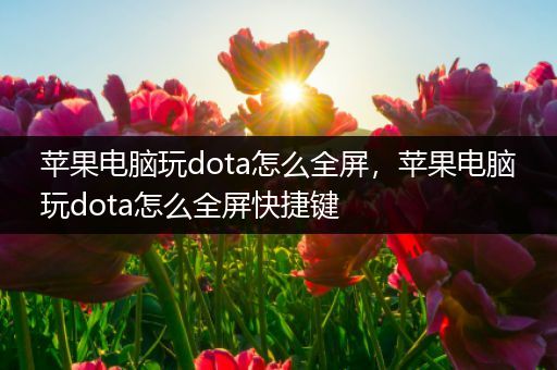 苹果电脑玩dota怎么全屏，苹果电脑玩dota怎么全屏快捷键