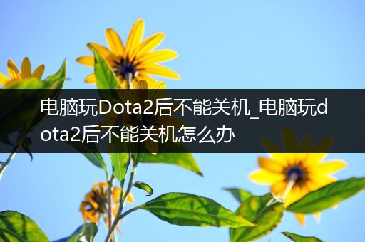 电脑玩Dota2后不能关机_电脑玩dota2后不能关机怎么办