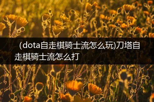 （dota自走棋骑士流怎么玩)刀塔自走棋骑士流怎么打