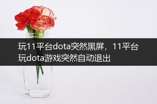 玩11平台dota突然黑屏，11平台玩dota游戏突然自动退出