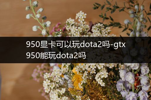 950显卡可以玩dota2吗-gtx950能玩dota2吗