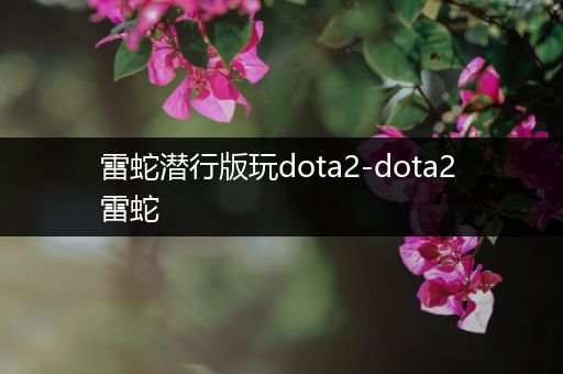 雷蛇潜行版玩dota2-dota2 雷蛇