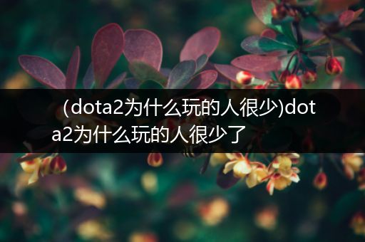 （dota2为什么玩的人很少)dota2为什么玩的人很少了