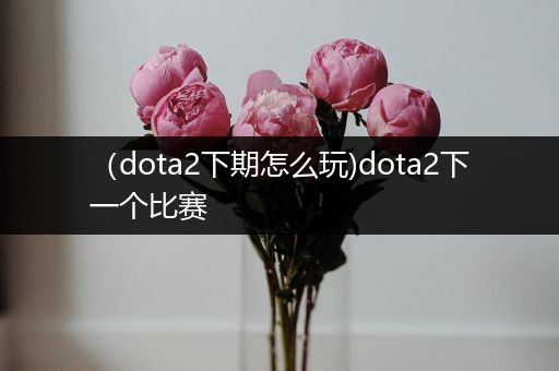 （dota2下期怎么玩)dota2下一个比赛