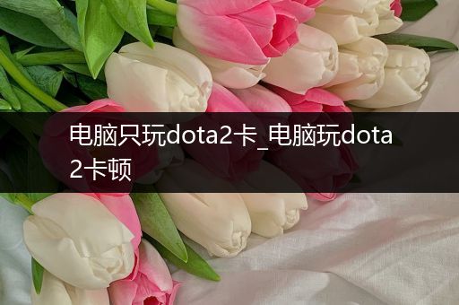 电脑只玩dota2卡_电脑玩dota2卡顿