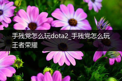 手残党怎么玩dota2_手残党怎么玩王者荣耀