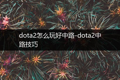 dota2怎么玩好中路-dota2中路技巧