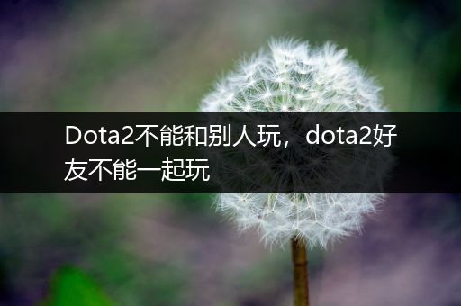 Dota2不能和别人玩，dota2好友不能一起玩