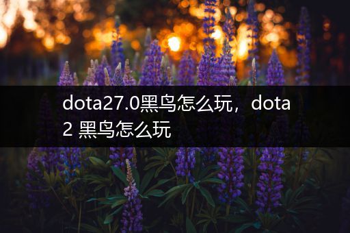 dota27.0黑鸟怎么玩，dota2 黑鸟怎么玩