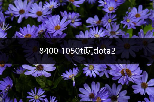 8400 1050ti玩dota2