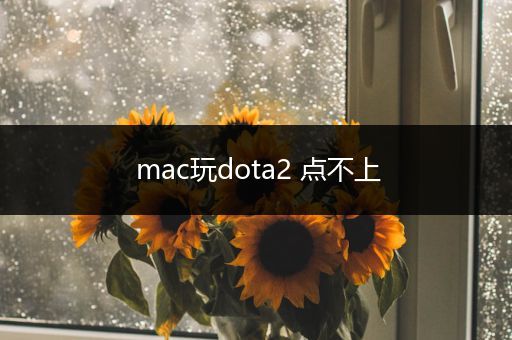 mac玩dota2 点不上