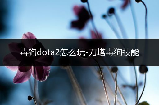 毒狗dota2怎么玩-刀塔毒狗技能