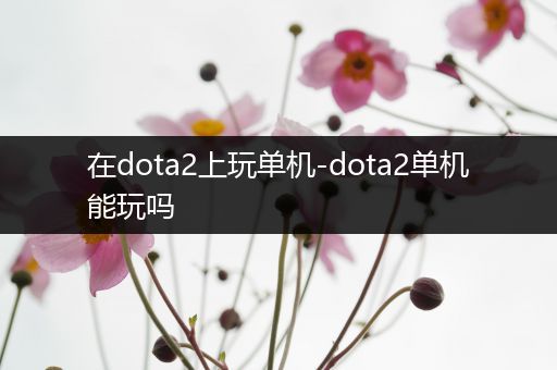 在dota2上玩单机-dota2单机能玩吗