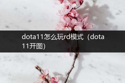 dota11怎么玩rd模式（dota11开图）