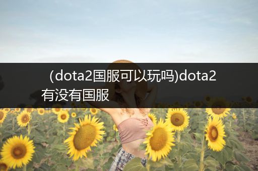 （dota2国服可以玩吗)dota2有没有国服