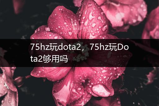 75hz玩dota2，75hz玩Dota2够用吗