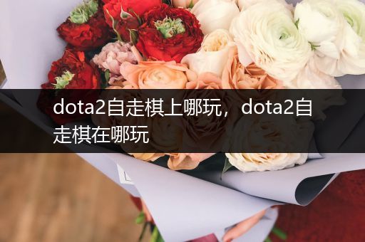 dota2自走棋上哪玩，dota2自走棋在哪玩