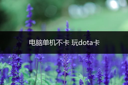 电脑单机不卡 玩dota卡