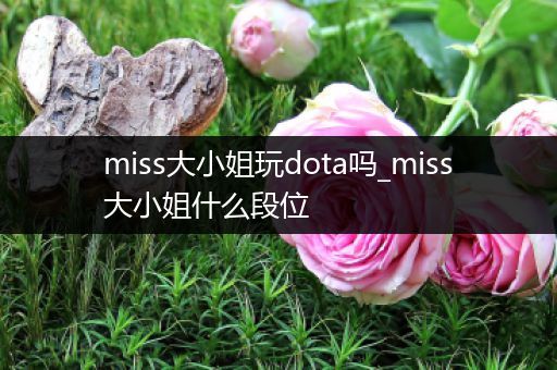 miss大小姐玩dota吗_miss大小姐什么段位