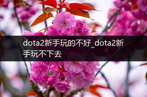dota2新手玩的不好_dota2新手玩不下去