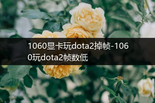 1060显卡玩dota2掉帧-1060玩dota2帧数低