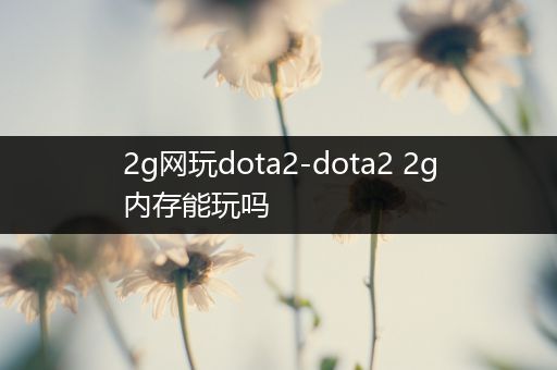 2g网玩dota2-dota2 2g内存能玩吗