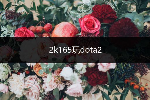 2k165玩dota2