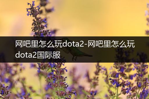 网吧里怎么玩dota2-网吧里怎么玩dota2国际服