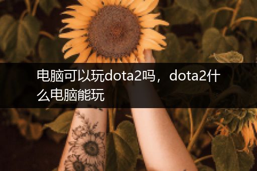 电脑可以玩dota2吗，dota2什么电脑能玩