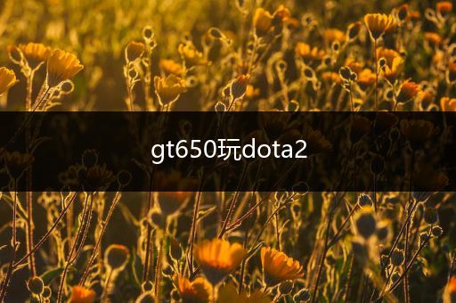 gt650玩dota2