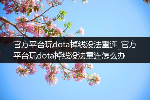官方平台玩dota掉线没法重连_官方平台玩dota掉线没法重连怎么办